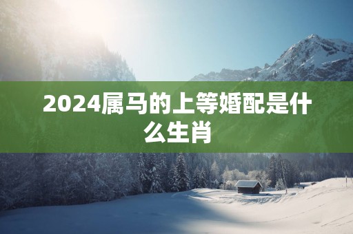 2025属马的上等婚配是什么生肖