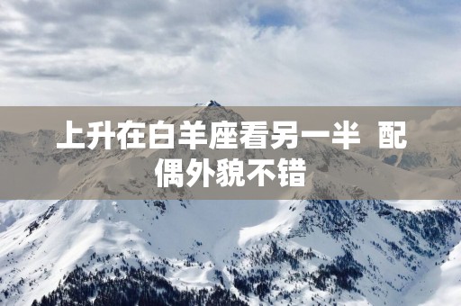 上升在白羊座看另一半  配偶外貌不错