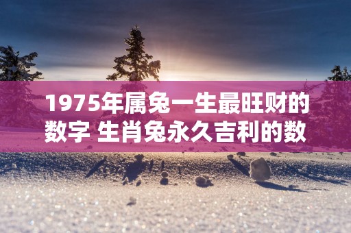 1975年属兔一生最旺财的数字 生肖兔永久吉利的数字