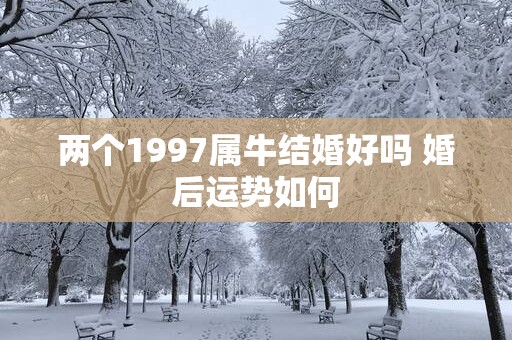 两个1997属牛结婚好吗 婚后运势如何