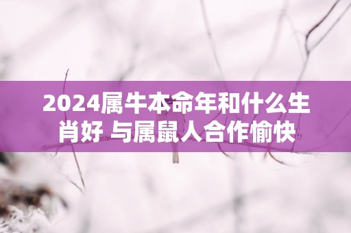 2025属牛本命年和什么生肖好 与属鼠人合作愉快
