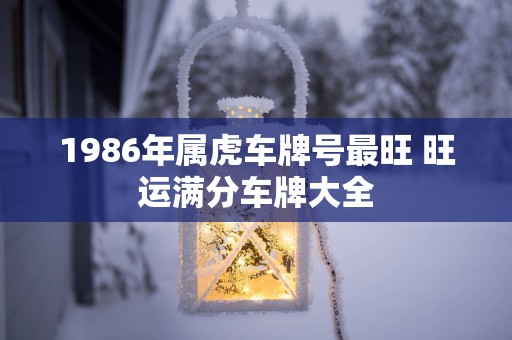 1986年属虎车牌号最旺 旺运满分车牌大全