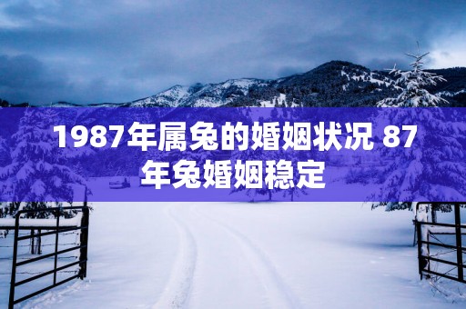 1987年属兔的婚姻状况 87年兔婚姻稳定