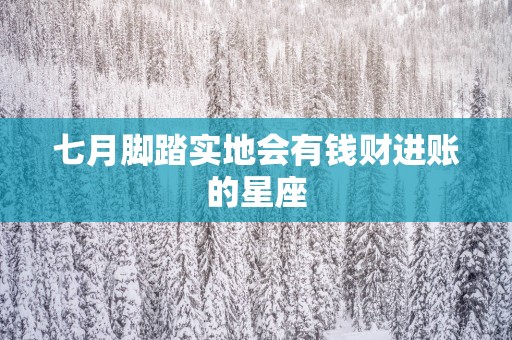 七月脚踏实地会有钱财进账的星座