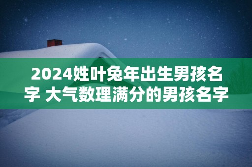 2025姓叶蛇年出生男孩名字 大气数理满分的男孩名字