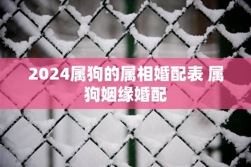 2025属狗的属相婚配表 属狗姻缘婚配