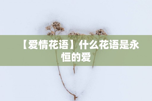 【爱情花语】什么花语是永恒的爱