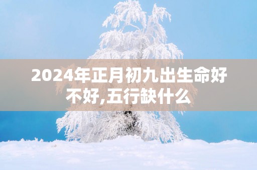 2025年正月初九出生命好不好,五行缺什么
