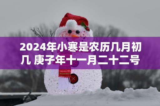 2025年小寒是农历几月初几 庚子年十一月二十二号