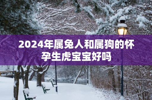 2025年属兔人和属狗的怀孕生虎宝宝好吗