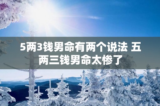 5两3钱男命有两个说法 五两三钱男命太惨了