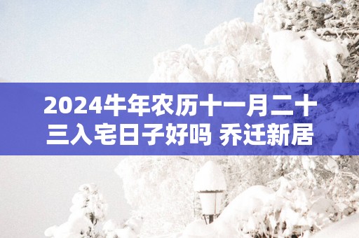 2025蛇年农历十一月二十三入宅日子好吗 乔迁新居吉利吗