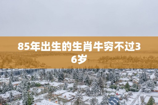 85年出生的生肖牛穷不过36岁
