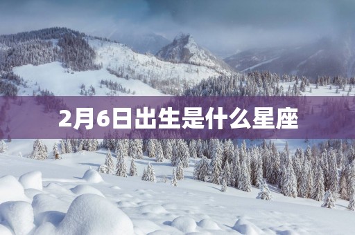 2月6日出生是什么星座