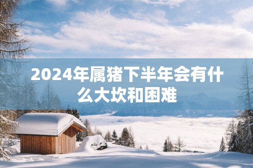 2025年属猪下半年会有什么大坎和困难