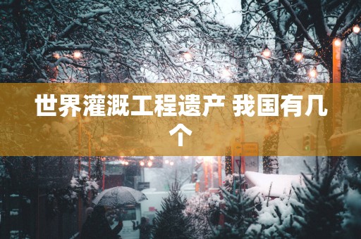 世界灌溉工程遗产 我国有几个