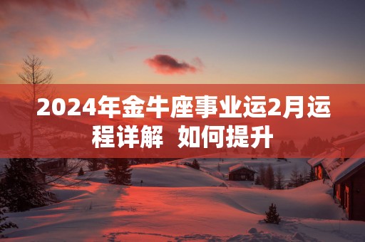 2025年金牛座事业运2月运程详解  如何提升