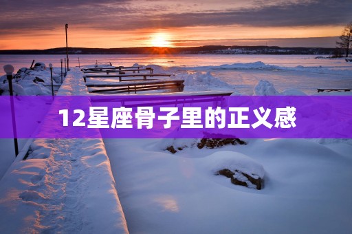 12星座骨子里的正义感