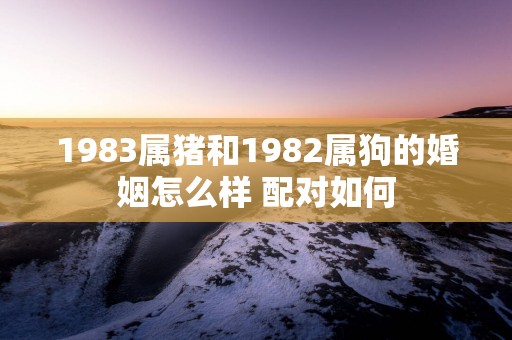 1983属猪和1982属狗的婚姻怎么样 配对如何