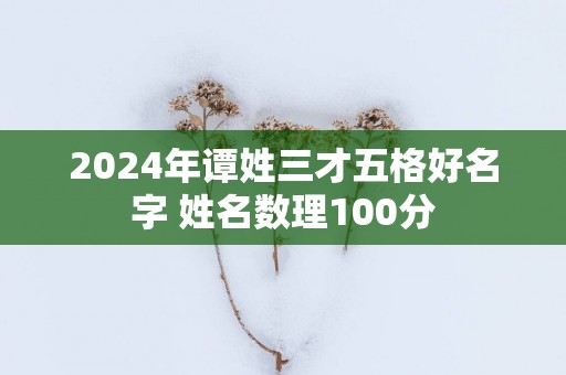 2025年谭姓三才五格好名字 姓名数理100分
