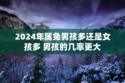 2025年属兔男孩多还是女孩多 男孩的几率更大