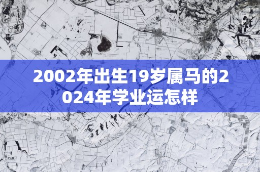 2002年出生19岁属马的2025年学业运怎样