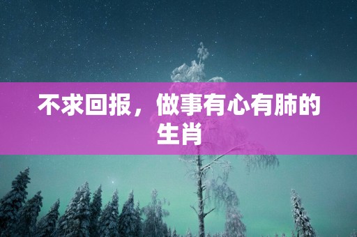 不求回报，做事有心有肺的生肖