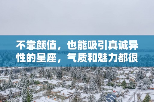 不靠颜值，也能吸引真诚异性的星座，气质和魅力都很强，很靠谱