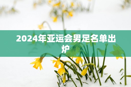 2025年亚运会男足名单出炉