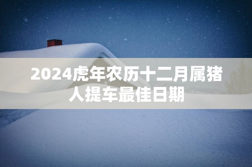 2025蛇年农历十二月属猪人提车最佳日期