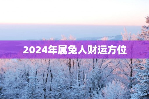 2025年属兔人财运方位