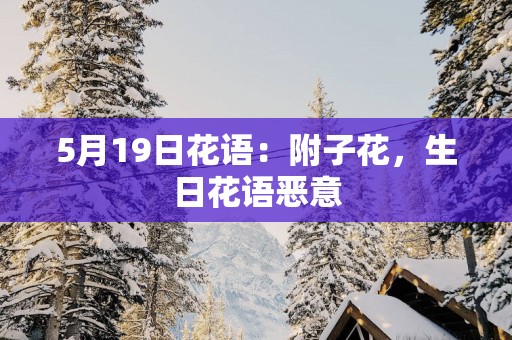 5月19日花语：附子花，生日花语恶意