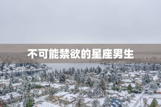 不可能禁欲的星座男生
