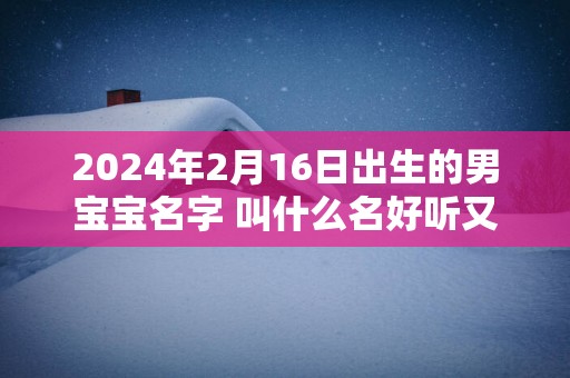 2025年2月16日出生的男宝宝名字 叫什么名好听又吉利