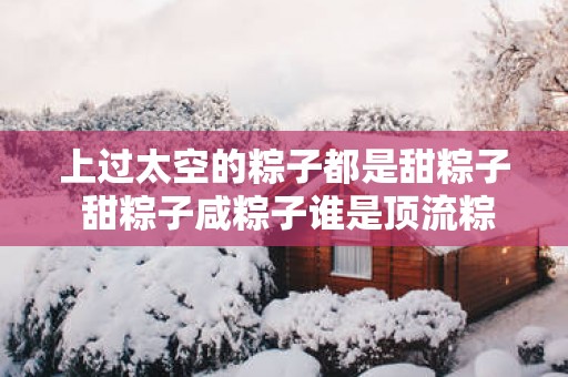 上过太空的粽子都是甜粽子 甜粽子咸粽子谁是顶流粽子