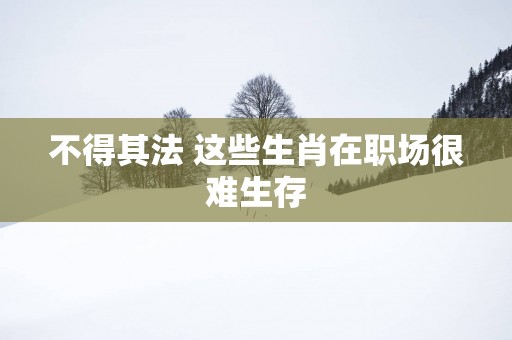 不得其法 这些生肖在职场很难生存