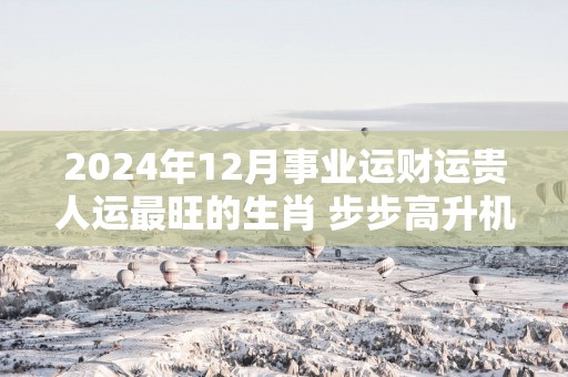 2025年12月事业运财运贵人运最旺的生肖 步步高升机遇多