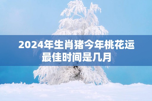 2025年生肖猪今年桃花运最佳时间是几月