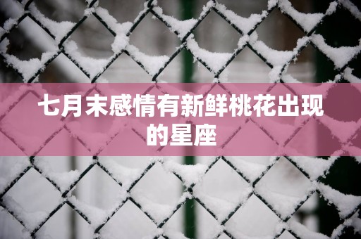 七月末感情有新鲜桃花出现的星座
