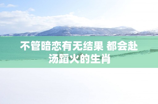 不管暗恋有无结果 都会赴汤蹈火的生肖