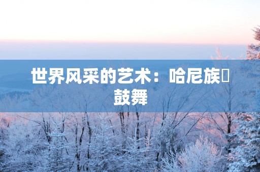 世界风采的艺术：哈尼族铓鼓舞
