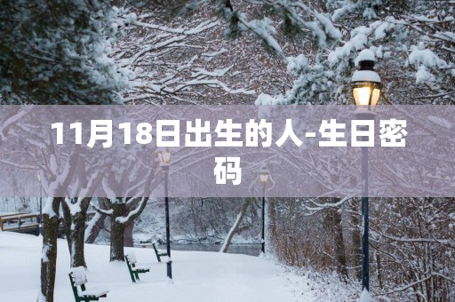 11月18日出生的人-生日密码