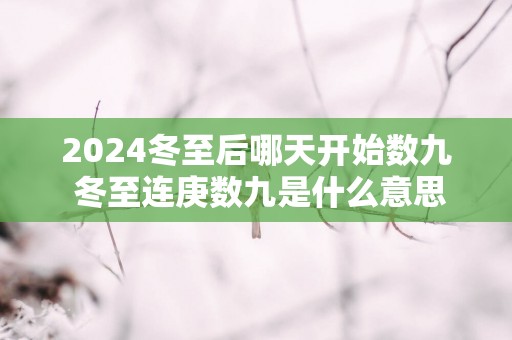 2025冬至后哪天开始数九 冬至连庚数九是什么意思