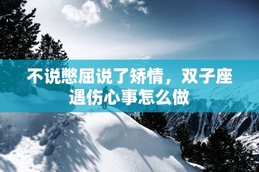 不说憋屈说了矫情，双子座遇伤心事怎么做