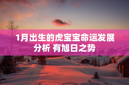 1月出生的虎宝宝命运发展分析 有旭日之势