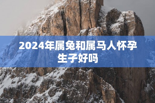2025年属兔和属马人怀孕生子好吗
