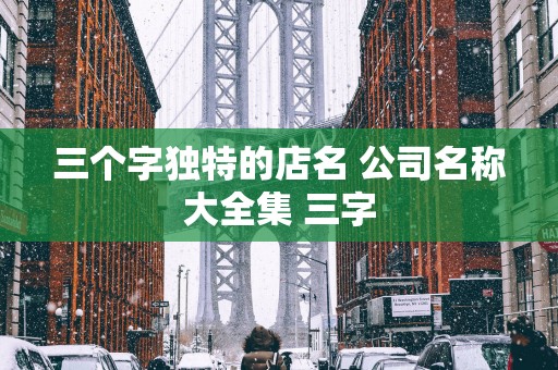 三个字独特的店名 公司名称大全集 三字