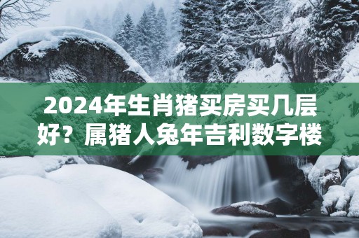 2025年生肖猪买房买几层好？属猪人蛇年吉利数字楼层是几层？