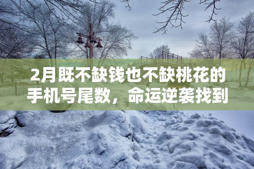 2月既不缺钱也不缺桃花的手机号尾数，命运逆袭找到终身伴侣