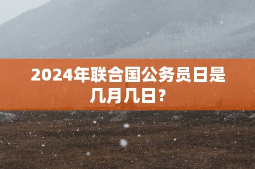2025年联合国公务员日是几月几日？